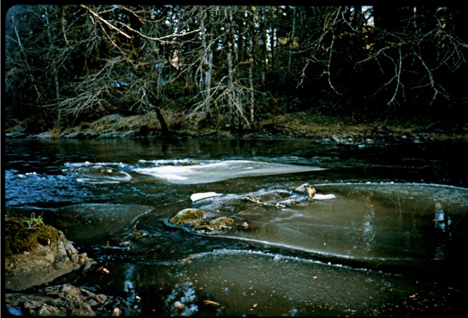 FishingIXc03