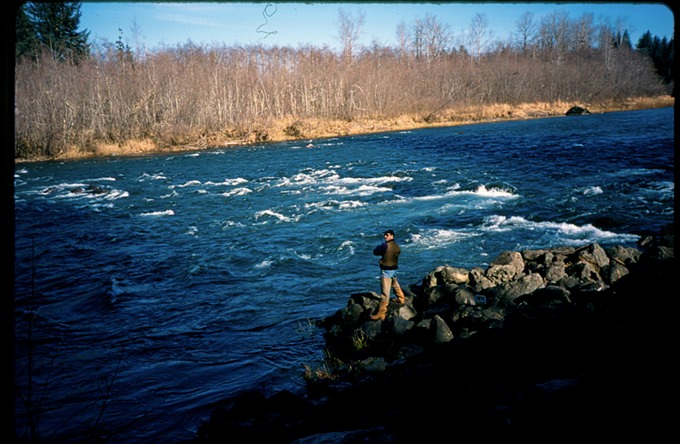 FishingVIe