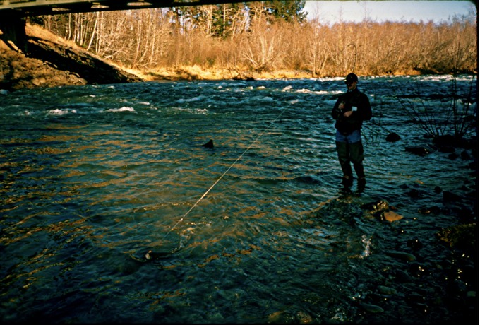 FishingVIf