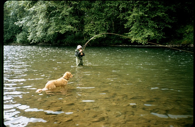 FishingVIi02