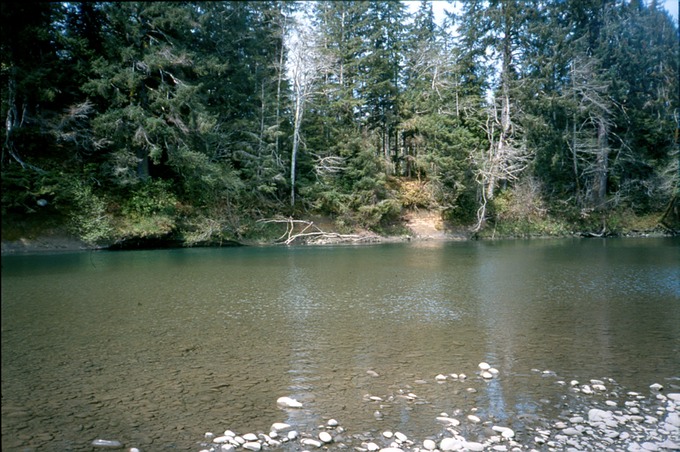 FishingVIIa