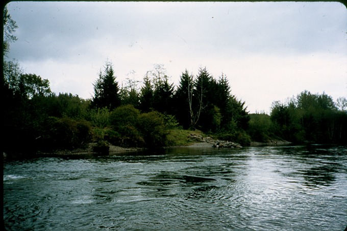 FishingVIIIa02