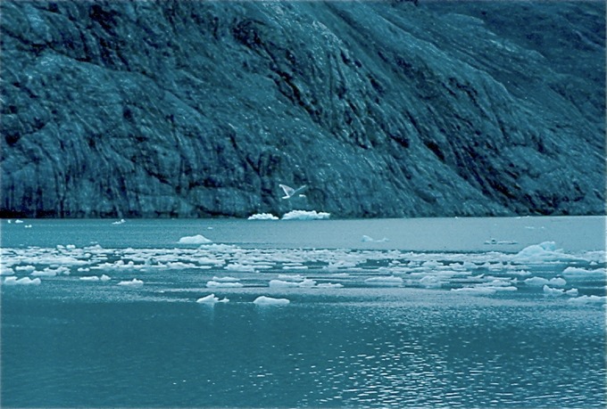 GlacierBayH01