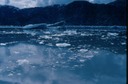 GlacierBayH02