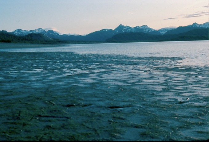 GlacierBayM02