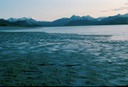 GlacierBayM02