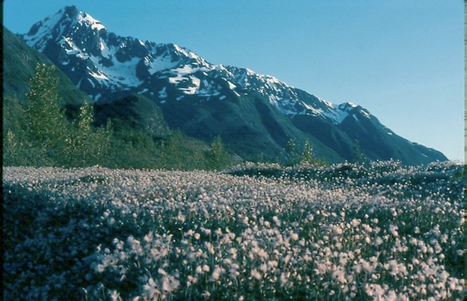 GlacierBayN02