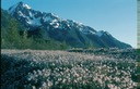 GlacierBayN02