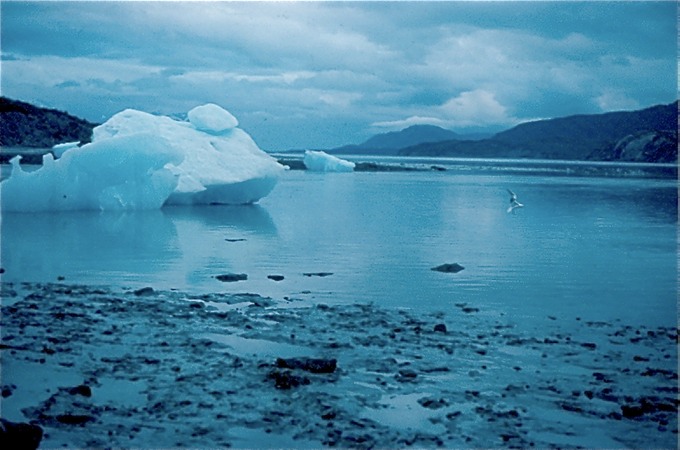 GlacierBayR01