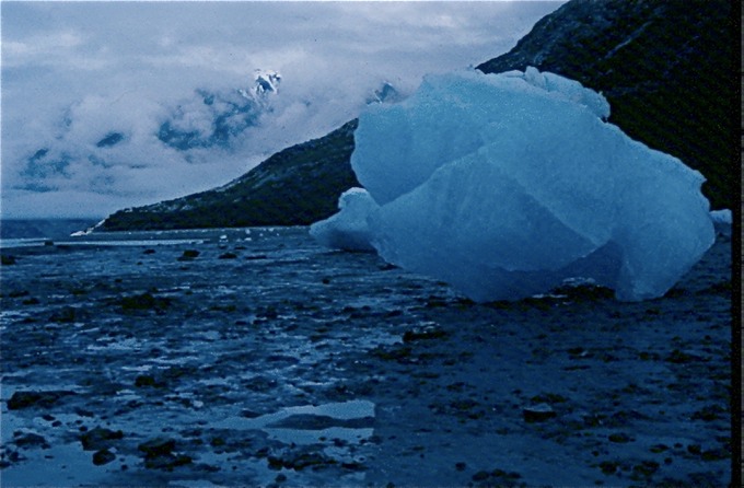 GlacierBayT01