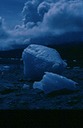 GlacierBayT02
