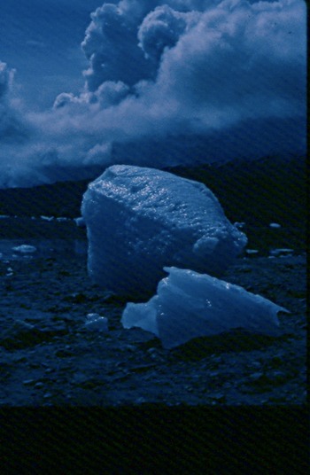 GlacierBayT02