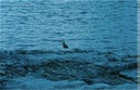 GlacierBayX03