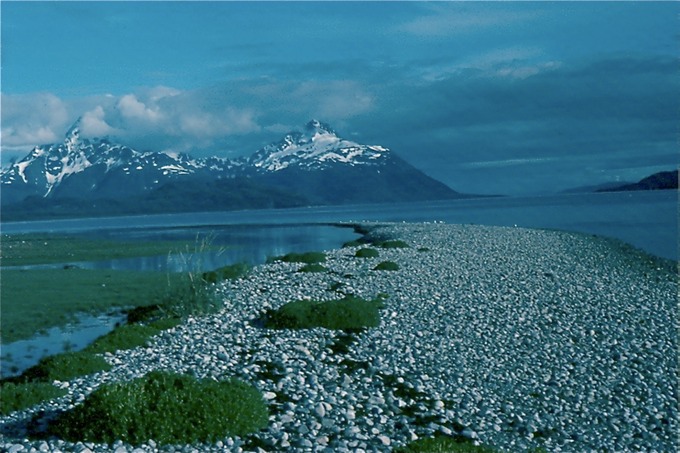 GlacierBayZ03