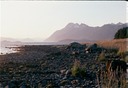 GlacierBayZb01