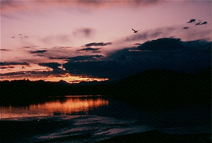 GlacierBayZg01