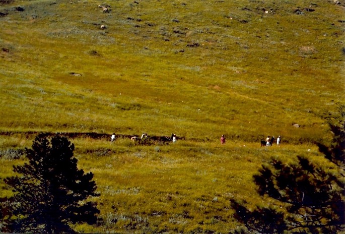 hIDt8hsQSPaClV9hBCJZXQ_thumb_5d3f