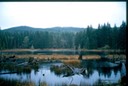 Hunting 08 Aa-2.jpg