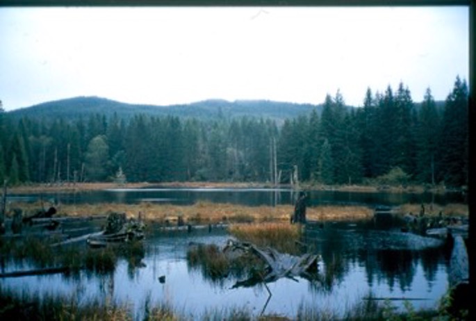 Hunting 08 Aa-2.jpg