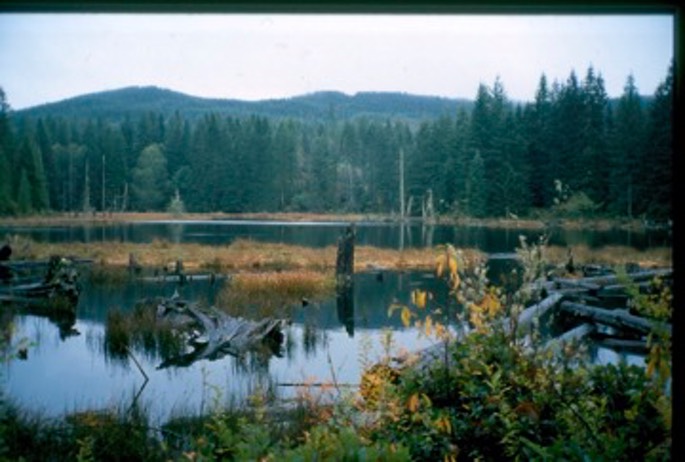Hunting 08 Ab-1.jpg