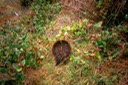 Hunting_14_Aa
