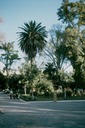 MexicoQ03