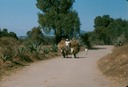 MexicoV02
