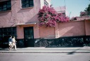 MexicoZ01