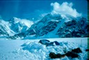 MtMcKinlyAg-2