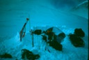 MtMcKinlyDf-1