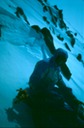 MtMcKinlyDf-3
