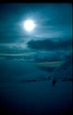 MtMcKinlyDk-2