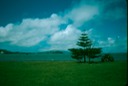NewZealand_1989_Aa-2