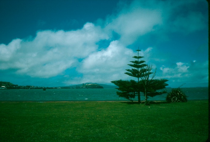 NewZealand_1989_Aa-2