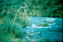 NewZealand_1989_Ad-3