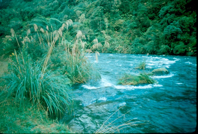 NewZealand_1989_Ad-3
