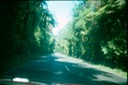NewZealand_1989_Ae-3