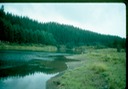 NewZealand_1989_Ae
