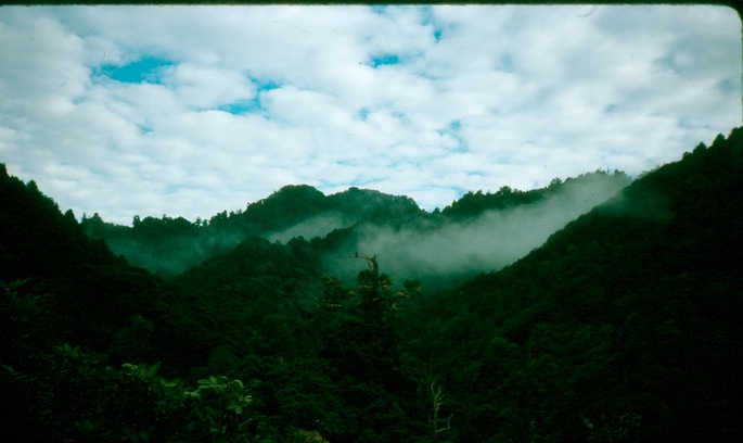 NewZealand_1989_Af-2