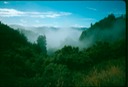 NewZealand_1989_Af-3