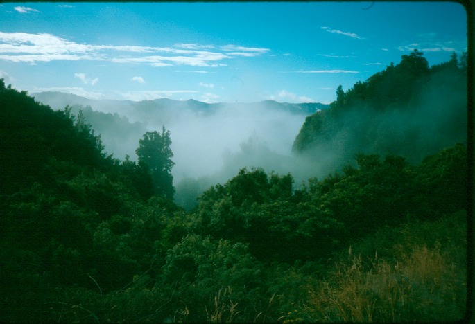 NewZealand_1989_Af-3