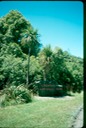 NewZealand_1989_Af