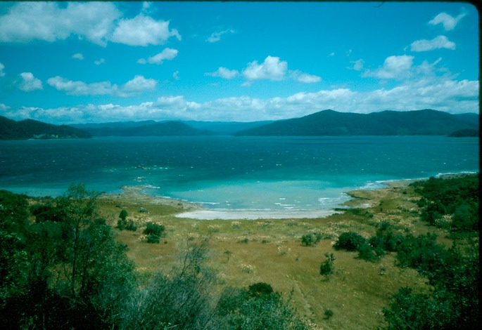 NewZealand_1989_Ag