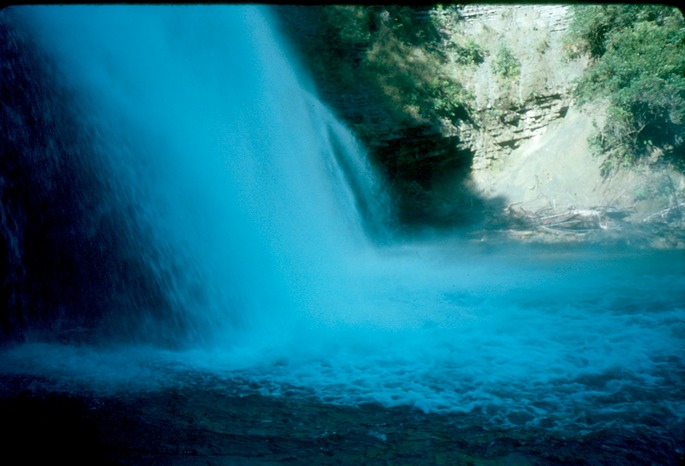 NewZealand_1989_Ah-2