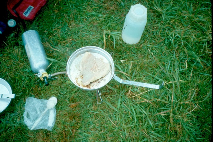 NewZealand_1989_Ah