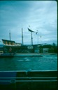 NewZealand_1989_Ak-1
