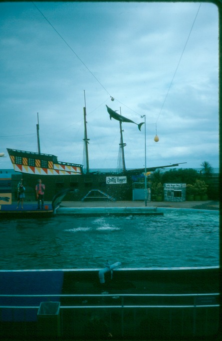 NewZealand_1989_Ak-1