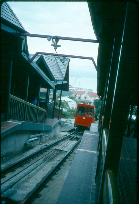NewZealand_1989_Am-1
