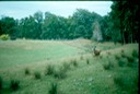 NewZealand_1989_Am