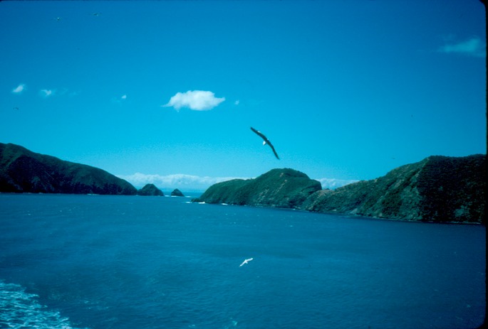 NewZealand_1989_An-3